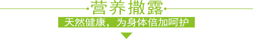 salud撒露,欧洲冻酸奶,冻酸奶加盟,冻酸奶加盟费,酸奶冰淇淋加盟连锁店,酸奶冰激凌店加盟,2018最有前景的全国连锁加盟店,2018年加盟什么店最赚钱